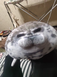 Плюшевая мягкая игрушка Тюлень Seal (20 см) тренды TikTok декор для детской комнаты подарок на день рождения фото от покупателей 17