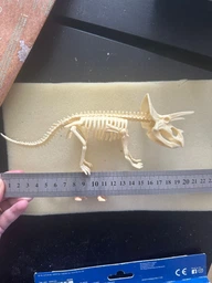 Набір для проведення розкопок Danko Toys Dino Paleontology Трицератопс (рус) DP-01-02 фото від покупців 3