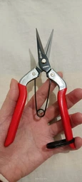 Секатор для орхидей SAGAWATA WS-901, ножницы для сбора фруктов