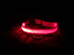 Ошейник с подсветкой для собак UFT Pet Led 2 L с аккумулятором Red (4820176282453)
