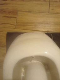 Инсталляция GROHE Rapid SL 38772001 + унитаз ROCA Gap A34H47C000/A34647L000 с сиденьем SoftClose A80148200U фото от покупателей 9