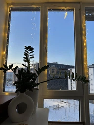 Кормушка для птиц на окно House_for_birds "Домик белый" фото от покупателей 19