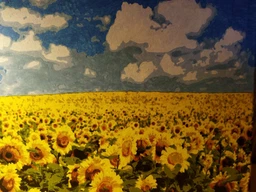 Картина по номерам "Поле подсолнухов" 50*60 см Artissimo PNХ5379