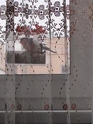 Кормушка для птиц на окно House_for_birds "Балкон" дерево фото от покупателей 4