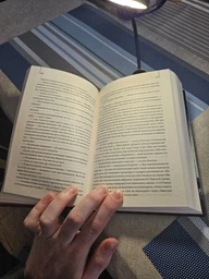 Універсальна настільна акумуляторна лампа з кліпсою Baseus Comfort Reading Mini Clip Lamp |24Hours, 4000K| (DGRAD-0G)