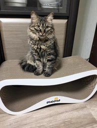Когтеточка картонная Say Meow Grace, 67 см х 27 см х 24 см