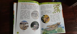Книга Моя перша енциклопедія. Дивовижні тварини (9789669850041)