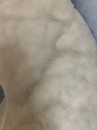 Подушка для беременных и отдыха Sleepingg U-Shape формы Антиаллергенное волокно с наволочкой и молнией Беж (4820227283460) фото от покупателей 7