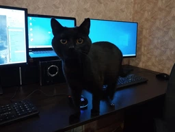 Стол офисный СП Континент 900/600/760 Бетон фото от покупателей 11
