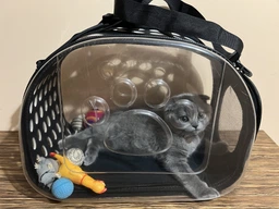 Сумка переноска mini Pet прозора для домашніх тварин (кішок, собак, кроликів і ін.) (Код: IBH010B)