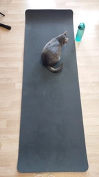 Килимок для йоги та фітнесу EVA (йога мат, каремат спортивний) OSPORT Yoga Pro 3мм (OF-0088) Жовтий фото від покупців 11
