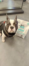 Сухой корм Brit Care Mini Grain Free Light & Sterilised беззерновой для стерилизованных и от избыточного веса собак 2 кг