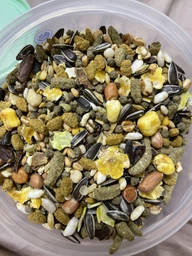Корм гриз VERSELE-LAGA СRISPY MUESLI 611692 20кг фото від покупців 6