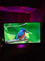 ТБ KIVI 32H760QW фото від покупців 13