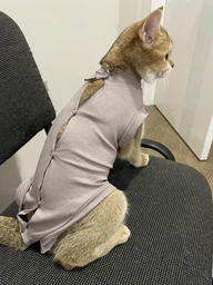 Попона комбинезон после стерилизации операции для кошек и котов Style Pets M фото от покупателей 1