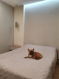 Покривало Sleepingg Bodi двостороннє 220х240 Антиалергенне волокно зі стібкою какао/Сіре (4820227286140)