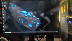 Монитор 24" BenQ EX240N (9H.LL6LB.QBE) FullHD VA / 165Hz / 1 ms MPRT / 8-bit / HDR10 / HDRi / FPS Mode / Black eQualizer / FreeSync Premium / G-SYNC Compatible / treVolo TrueSound Speakers 2.5W фото от покупателей 13