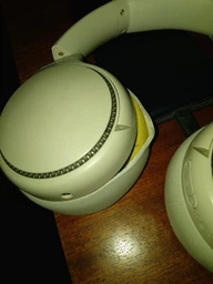 Навушники PANASONIC RB-M500BGE-K