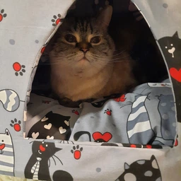 Мягкий домик для домашних животных собак и кошек с котиками 35 x 30 см Incor Серый