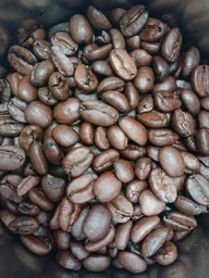 Кава у зернах illy Arabica Selection India 250 г
