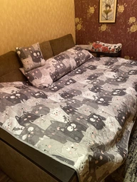 Подушка дакимакура Руно Grey Cat_1 антиаллергенное волокно 50х150 см (Р315.52_Grey Cat_1) фото от покупателей 3