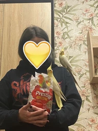 Корм для средних попугаев Versele-Laga Prestige Cockatiels зерновая смесь 1 кг (5410340218808) фото от покупателей 5