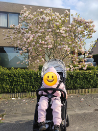 Прогулянкова компактна коляска Peg-Perego Selfie Mon Amour Рожеве золото (IP22000000BA36DX19) фото від покупців 1