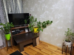 Підставки для вазонів та квітів дерев'яні WoodDecor комплект в коричневому кольорі