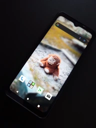 Мобільний телефон Sigma X-treme PQ56 Black (4827798338018)