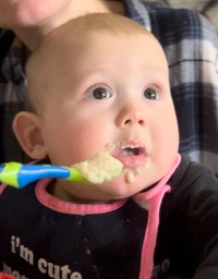 Каша суха молочна швидкорозчинна Gerber Пшенично-вівсяна з кіноа та бананами для дітей із 6 місяців 240 г (8445291121430)