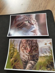 Глянцевая фотобумага 10x15, 260 г./м. Magic (100 листов) Superior Фотобумага для принтера 260 грамм. фото от покупателей 2
