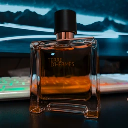 Hermes Terre D'Hermes парфюмированная вода для мужчин