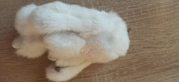 Брелок з хутра кролик 14см для рюкзака та сумки фото від покупців 1