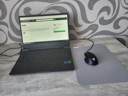Ігрова поверхня Razer Pro Glide XXL (RZ02-03332300-R3M1) фото від покупців 5
