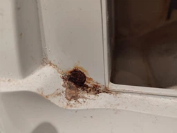 Стиральная машина узкая Electrolux EW6S326SUI фото от покупателей 5