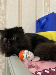 Набір Kinder Mix 122 г (4008400312224) фото від покупців 3