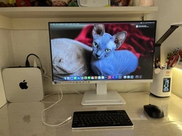 Монітор 24" MSI PRO MP243XW -- IPS FHD / 100Hz / 4ms GtG / 8-Bit / sRGB 119% / Adaptive-Sync / AMD FreeSync / Speakers 3W