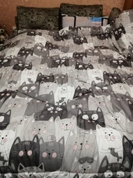 Ковдра Руно зимова двоспальна 172x205 см антиалергенне волокно Grey Cat (Р316.52СЛУ_Grey Cat)