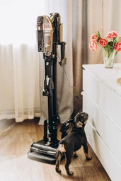 Акумуляторний пилосос Rowenta VERSATILE X-FORCE 15.60 RH99F1WO