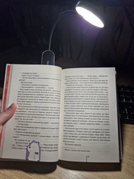 Лампа з акумулятором Baseus Comfort Reading Mini Clip Lamp 3W 4000K 350mAh USB 5V з кріпленням-прищіпка Gray