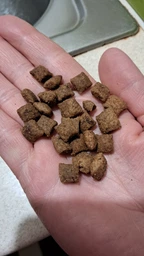 Сухий корм з куркою Brit Care Sterilized Urinary Бріт Каре для стерилізованих котів для здоров'я сечокам'яної системи 2 кг + наповнювач в подарунок (8595602540747) фото от покупателей 4