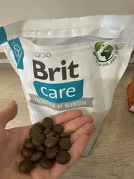 Сухий корм Brit Care Dog Grain-free Adult для собак малих та середніх порід, беззерновий з лососем, 3 кг, артикул 172197 фото від покупців 2