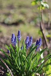Canon RF 50mm f/1.8 STM (4515C005) фото от покупателей 1