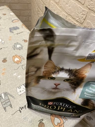 Сухий корм для кошенят Purina Pro Plan LiveClear Kitten Turkey з індичкою 1.4 кг фото від покупців 6