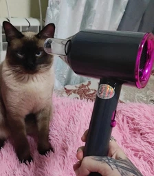 Фен для волосся професійний Powerful Hair Dryer PRO з насадками, легкий, потужний стайлер для волосся 850W, чорний фото від покупців 1