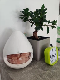 Увлажнитель воздуха ETA Himalaia 5634 90000 (Аромодифузор) фото от покупателей 1