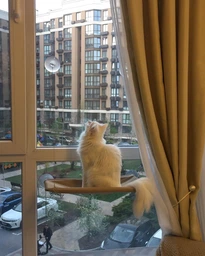 Лежанка для кота на окно подвесная гамак для кошки на присосках (ОL-152925) фото от покупателей 1