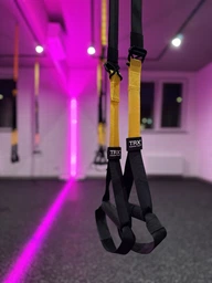 Петли подвесные для функционального тренинга TRX Pro Pack-3 (ручки обрезиненные) SCTPP3