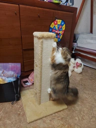 Когтеточка Lucky Pet "Квадрат Макси" 44 x 44 x 80 см (4820276190047)