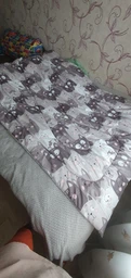 Ковдра Руно зимова двоспальна 172x205 см антиалергенне волокно Grey Cat (Р316.52СЛУ_Grey Cat) фото від покупців 1
